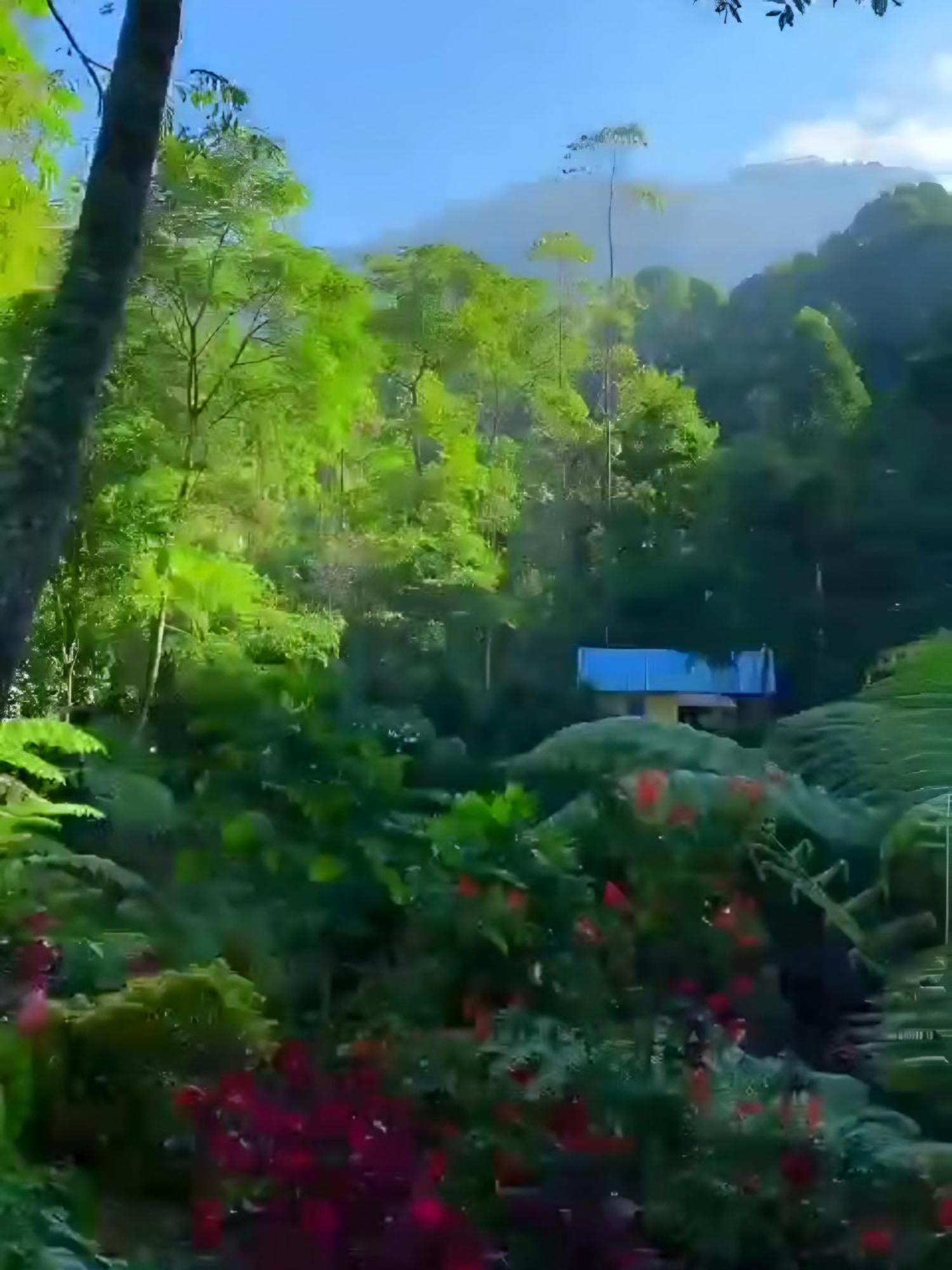Penginapan Nuansa Riung Gunung Hotell Pangalengan Eksteriør bilde